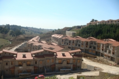 DSC03600