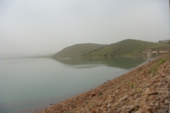 DSC01316