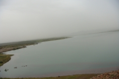 DSC01317