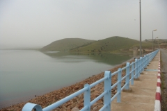 DSC01319