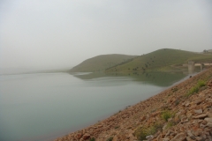 DSC01320