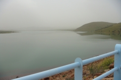 DSC01323