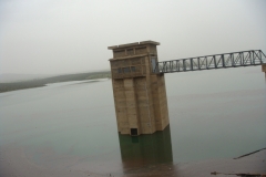 DSC01339