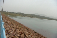 DSC01341