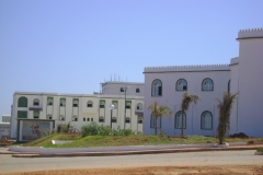 DSC05184