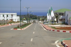 DSC05164