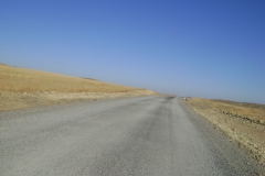 DSC06318