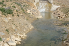 Petit Barrage a ouitlene Msila (3)